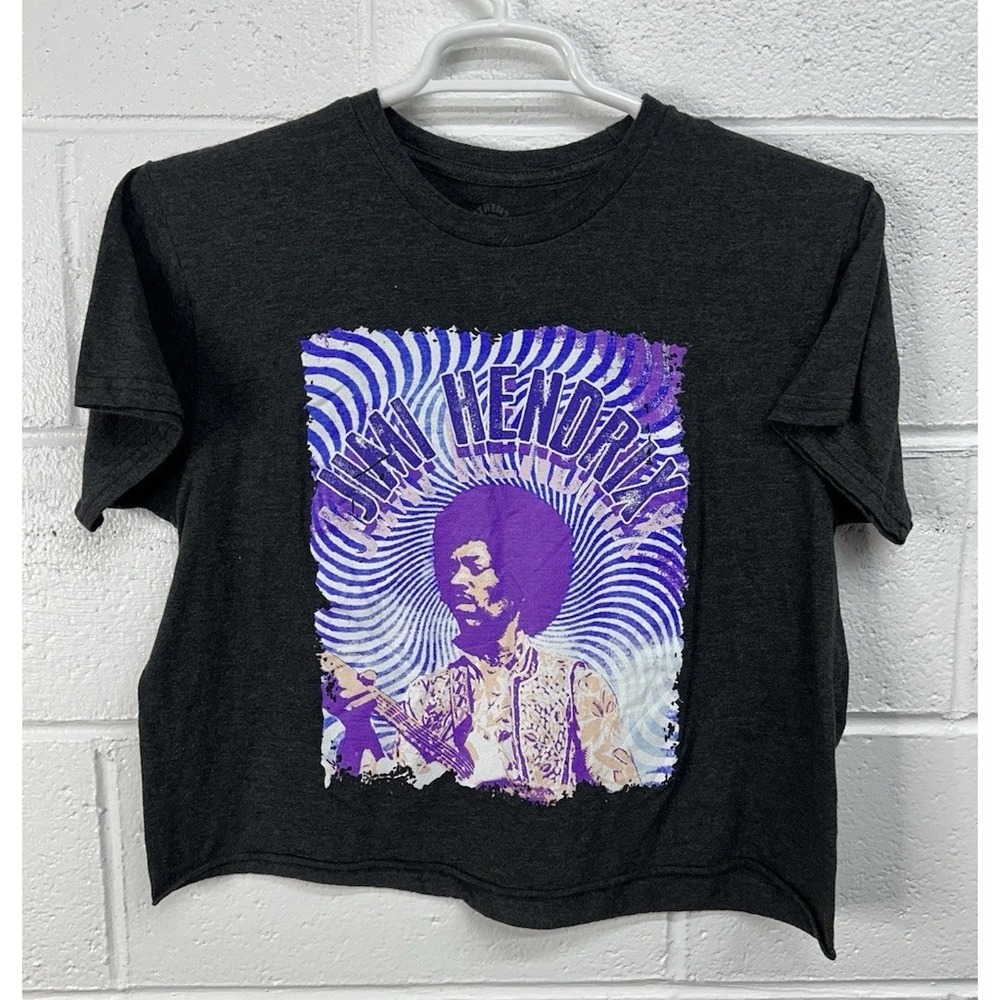 Authentic Hendrix Gray Graphic Short Sleeve Cropped Tee / Size Medium